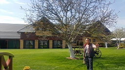 20170506_134412.jpg