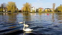 20170506_174457.jpg