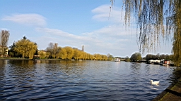 20170506_174520.jpg