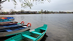 2017-05-07--17854.JPG