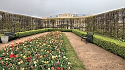 2017-05-09--18023.JPG