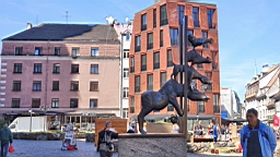 17_02005.JPG