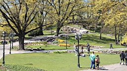 2017-05-12--18166.JPG