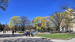 2017-05-12--18171.JPG