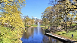 2017-05-12--18176.JPG