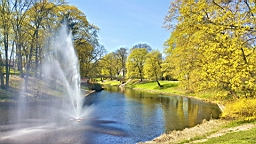 20170512_135924.jpg