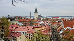 17_02107.JPG