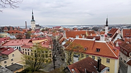 17_02108.JPG