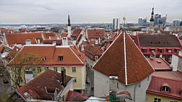 17_02109.JPG
