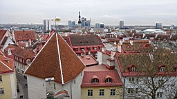 17_02110.JPG