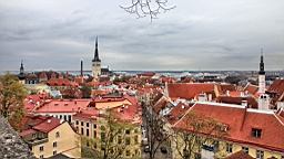 2017-05-15--18286.JPG