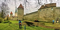 20170515_120507.jpg