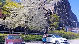 20170516_135442.jpg