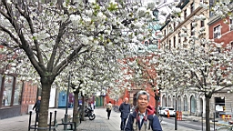 17_02318.JPG
