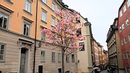 2017-05-17--18426.JPG
