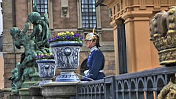 2017-05-17--18465.JPG