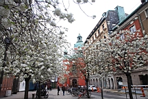 2017-05-17--18491.JPG