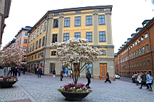2017-05-17--18506.JPG