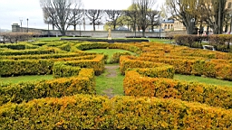 20170517_115254.jpg