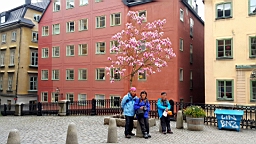 20170517_140150.jpg