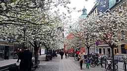 20170517_170943.jpg