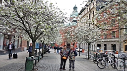 DSC03868.JPG