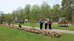 2017-05-18--18560.JPG