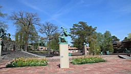2017-05-18--18595.JPG