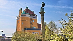 2017-05-18--18625.JPG
