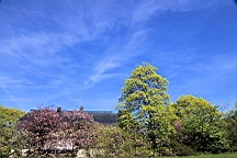 2017-05-18--18626.JPG