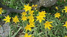 20170518_111711.jpg