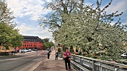 2017-05-19--18655.JPG