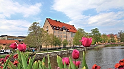 2017-05-19--18658.JPG