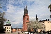2017-05-19--18683.JPG