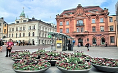 2017-05-19--18688.JPG