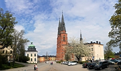 20170519_132647.jpg