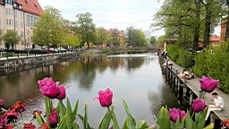 20170519_140008.jpg