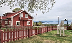 2017-05-20--18708.JPG