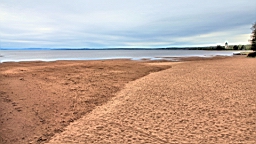 2017-05-20--18729.JPG