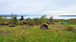 20170520_143625.jpg