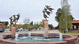 20170520_164459.jpg