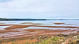 20170521_085352.jpg