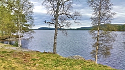 20170522_154624.jpg