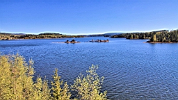 2017-05-23--18785.JPG