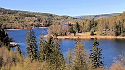 2017-05-23--18789.JPG