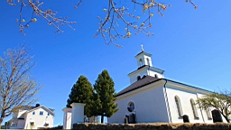2017-05-23--18797.JPG