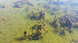 20170523_101605.jpg