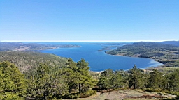 20170523_154623.jpg