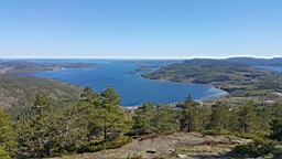 20170523_154811.jpg