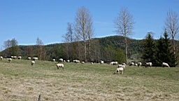 DSC04403.JPG